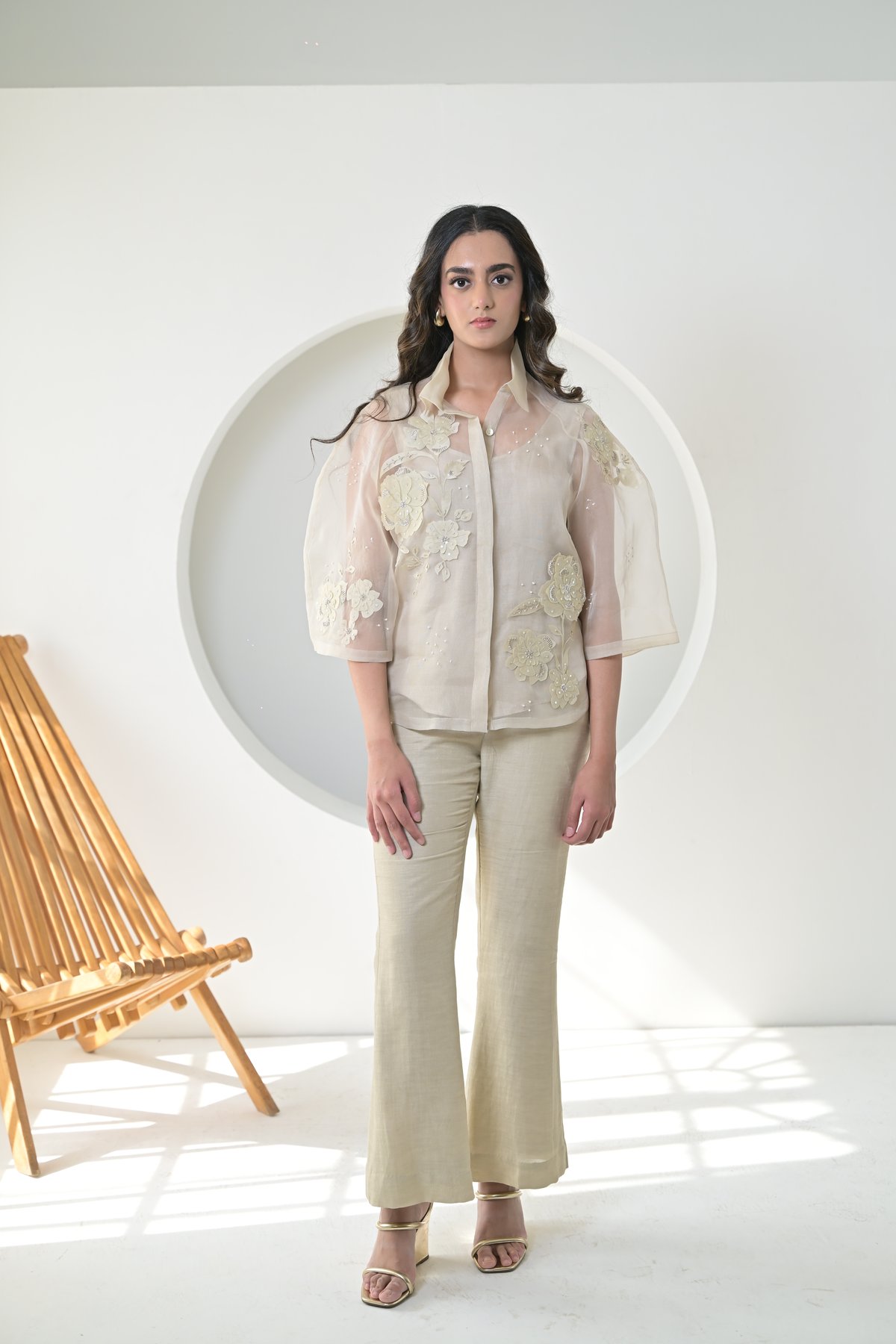 Beige Sheer Organza Shirt and Flared Pants Co-ord Set