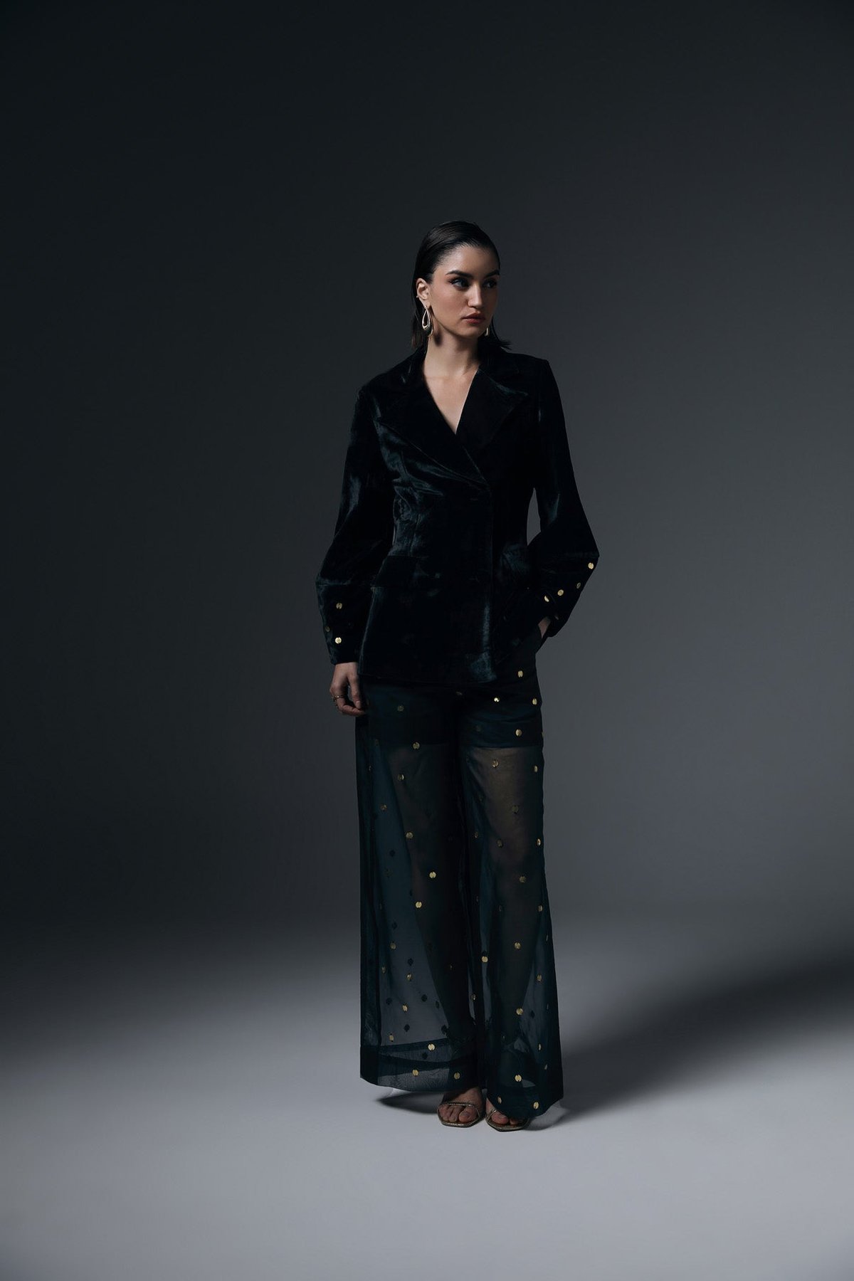 Black Velvet Blazer and Sheer Wide-Leg Pants Co-ord Set