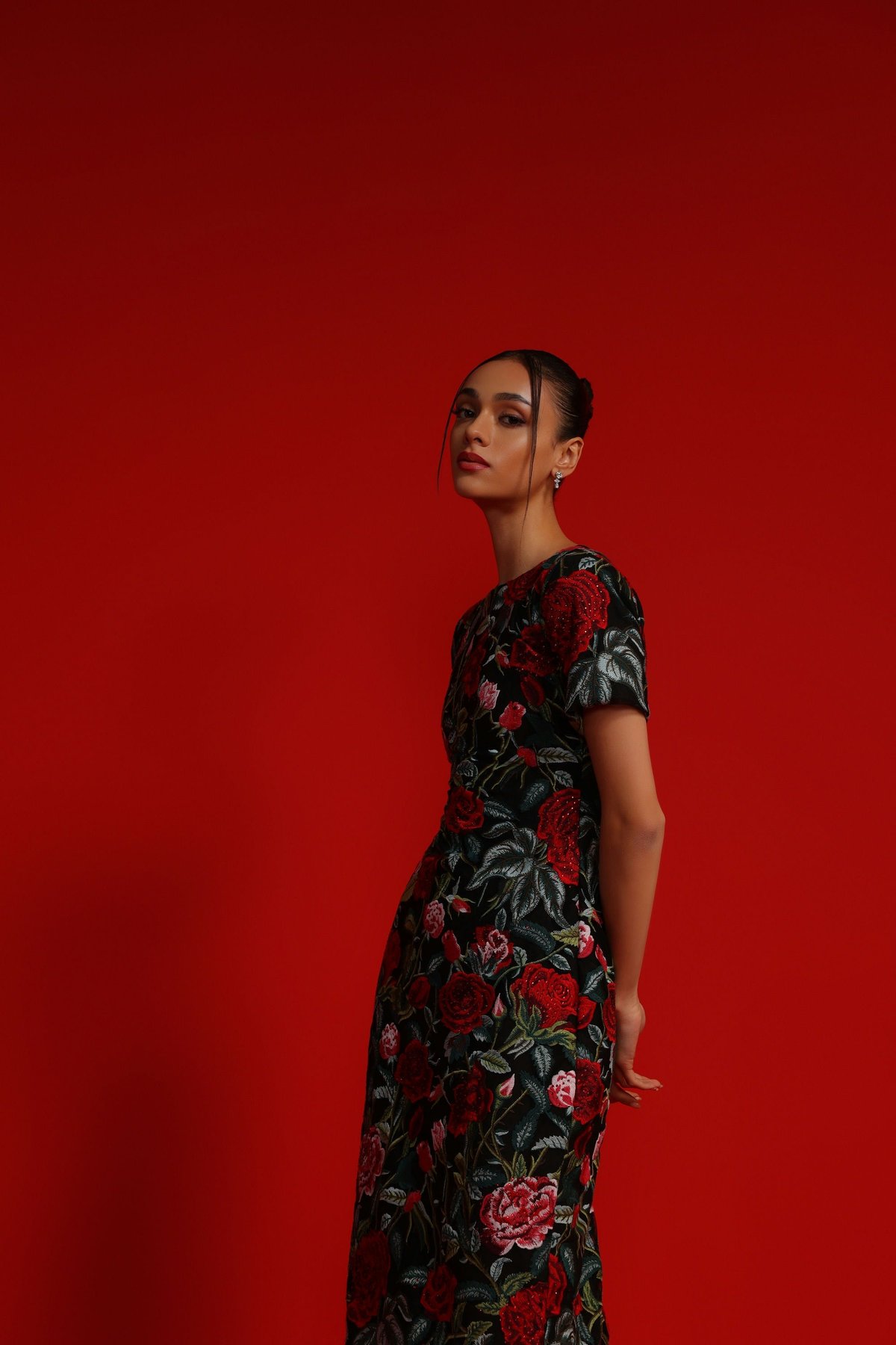 Black/Red Rose Embroidered Mesh Sheath Midi Dress