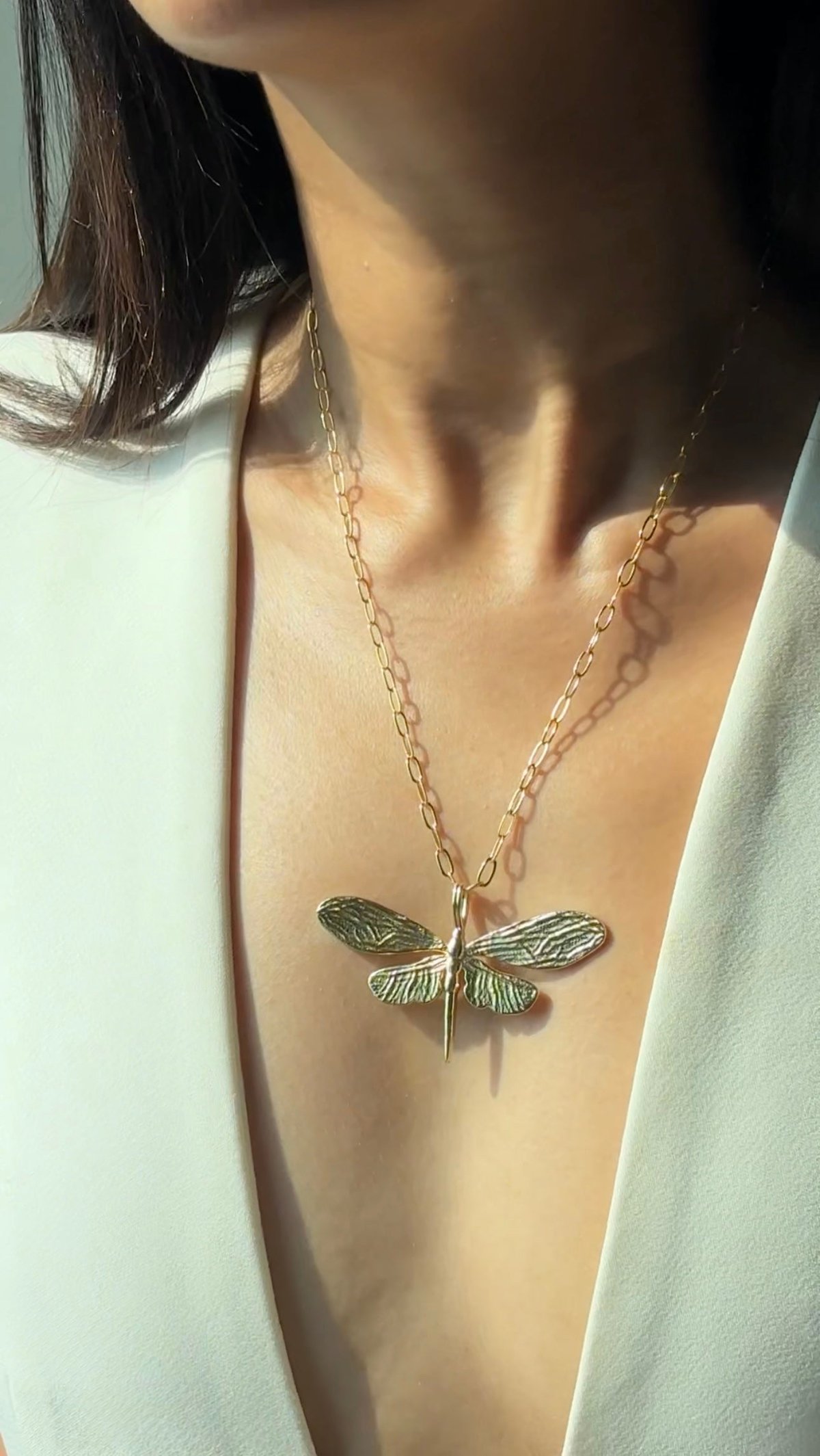 Dragon Fly