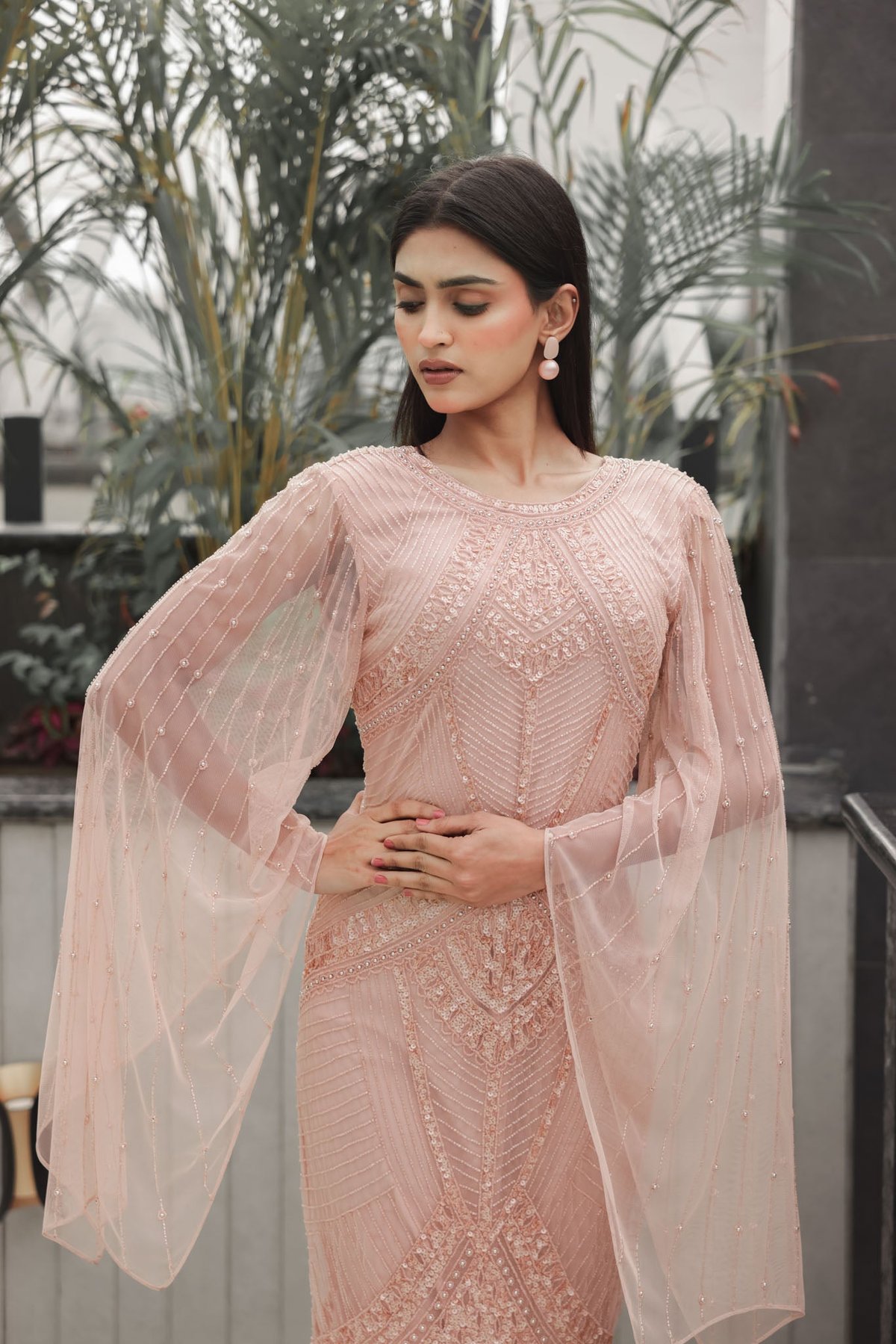 Blush Embellished Dress with Sheer Sleeves