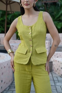 Vest