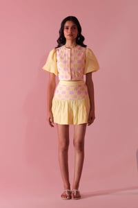 Top with Skirt