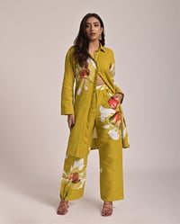 Pant