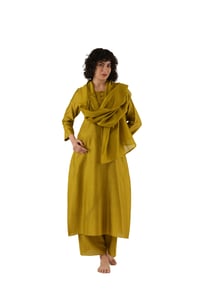 Dress with Slip, Bottom and Scarf