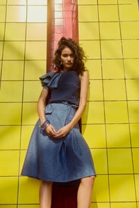 Top with Skirt
