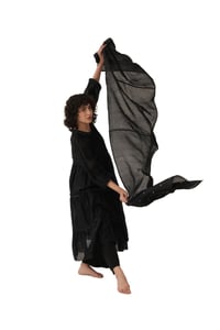 Dress with Slip, Bottom and Scarf
