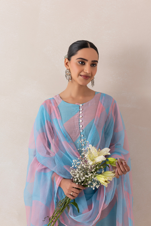 Pastel Pink and Blue Printed Straight Kurta Set
