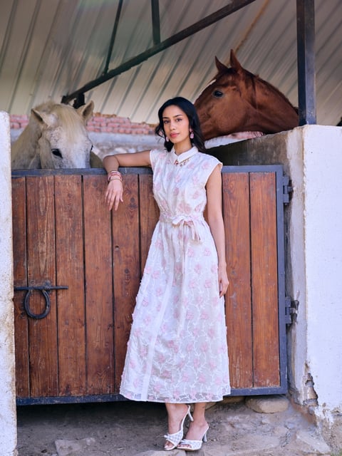 Scarlet 3rd Embroidered Dress