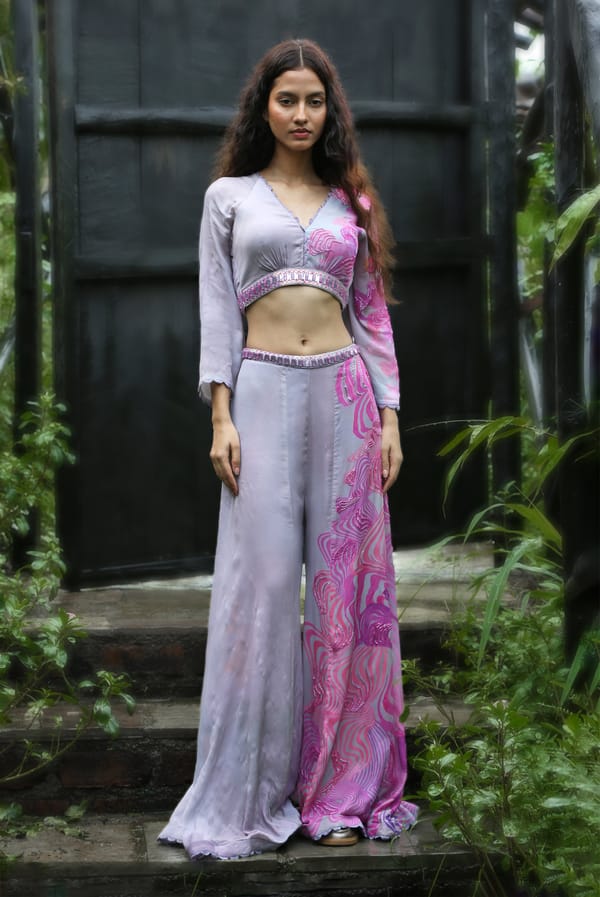 Pink Chiffon Embroidered Crop Top and Pants Co-ord Set — Basil Leaf
