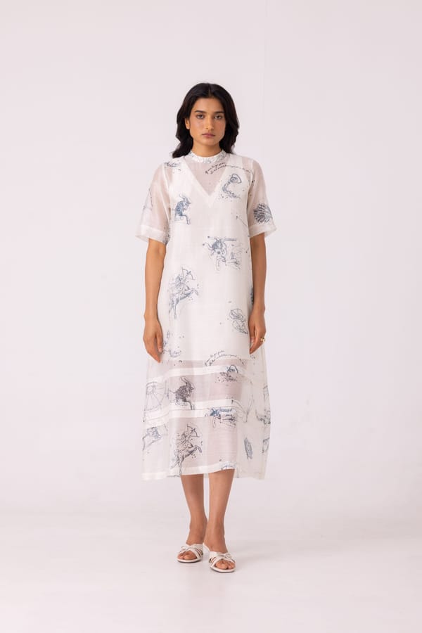 Larisa Zodiac Print Handwoven Dress — The Summer House
