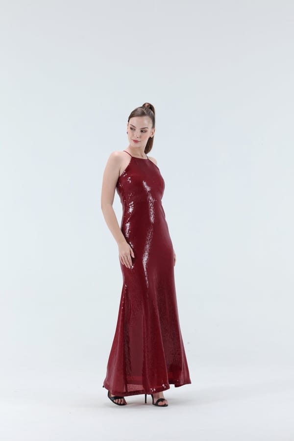 Susana Sequence Maxi Dress — Xaya