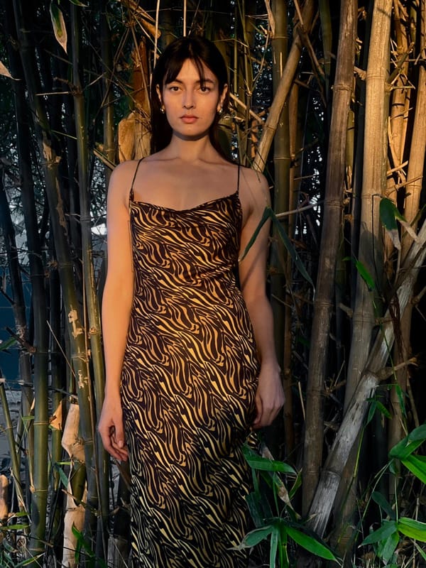 Satin Slip Dress with a Tie-Up Back - Tiger Wave — IZSI