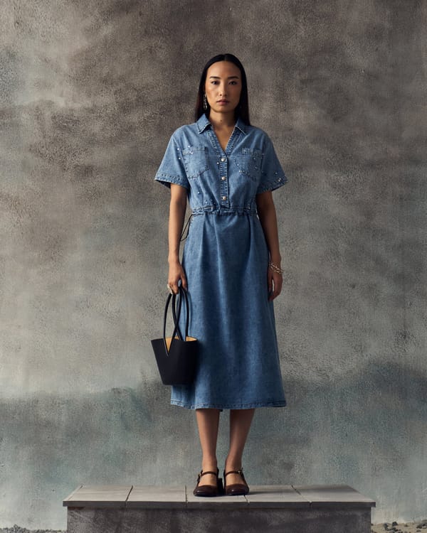 Shayn Dress — Aruni