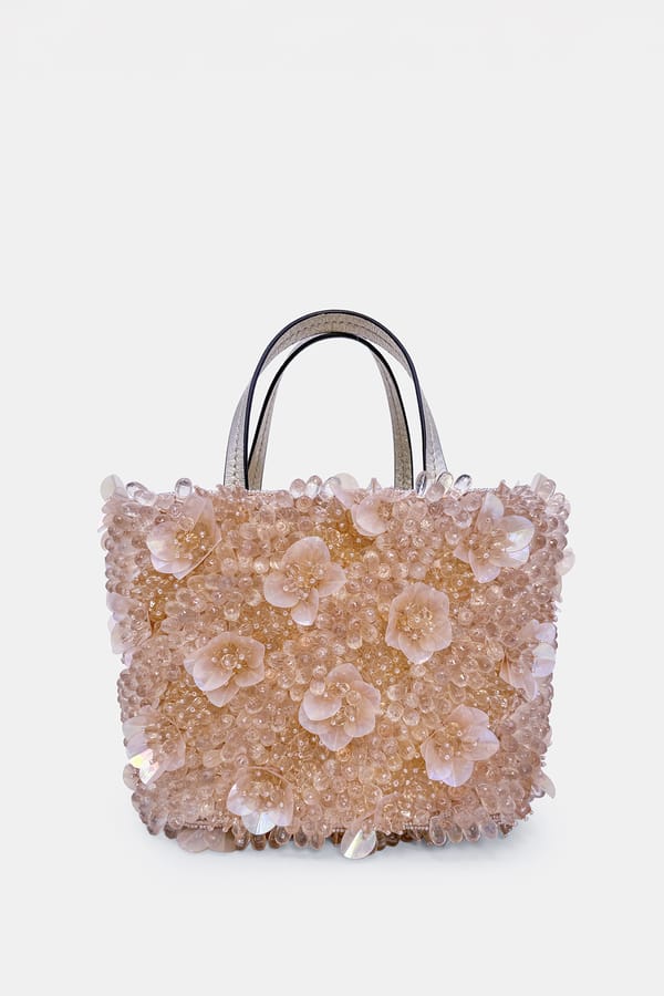 Blush Aurora Luxe Embellished Bag — Versuhz India