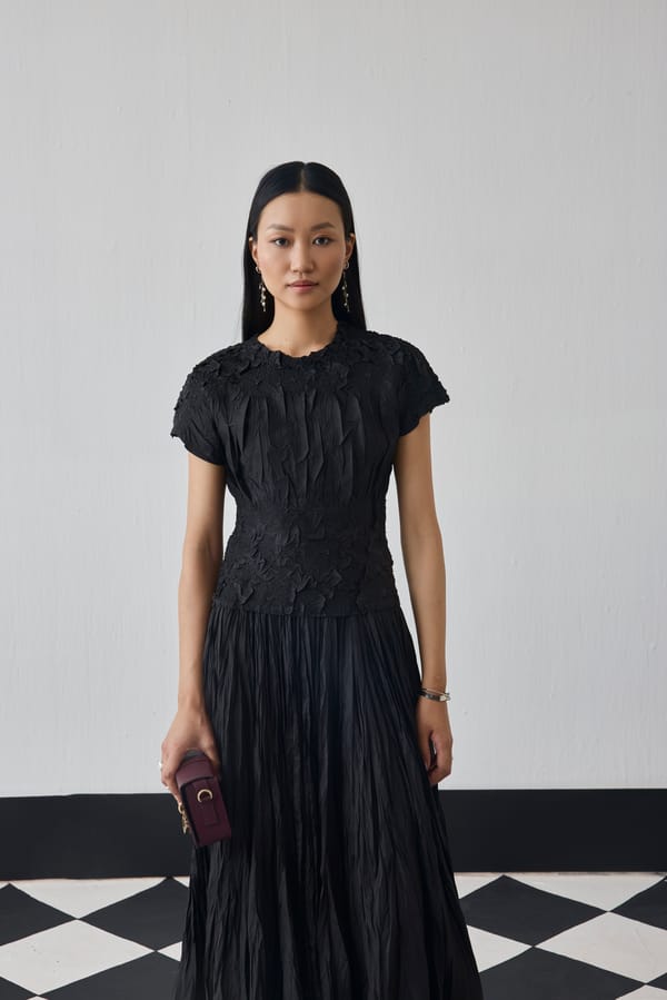 Nilu Skirt Set — Pleats by Aruni