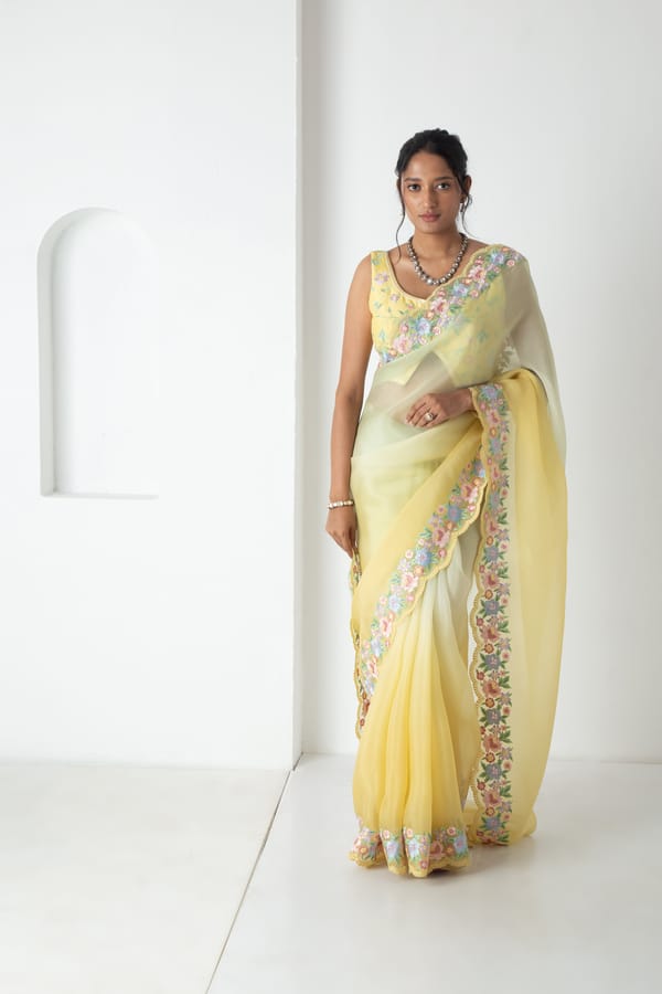 Kaisa Saree — Chhaya Mehrotra