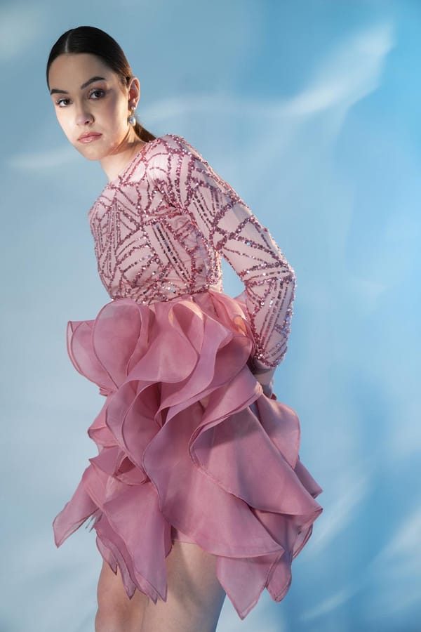 Rose Sequin Mesh Organza Ruffle Mini Dress — Label IRIS