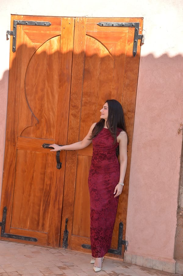 Monica Mesh Dress — Style Island
