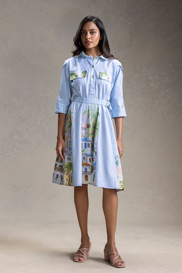 Reviera Printed Paneled Flared Dress — SOUP by Sougat Paul