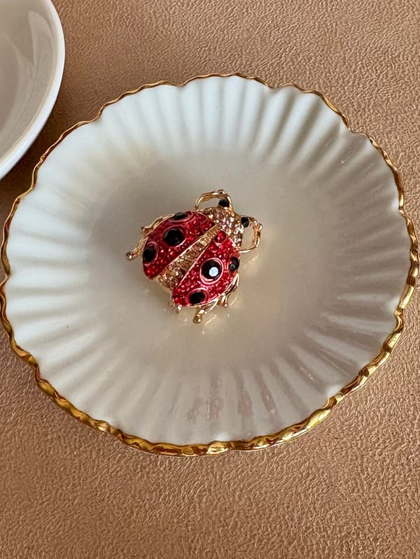 Black Accent Red Studded Bug Brooch — Amossh