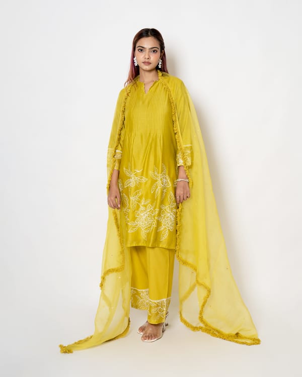 Daisy Delight Floral Embroidered Chanderi Suit Set — Kameez