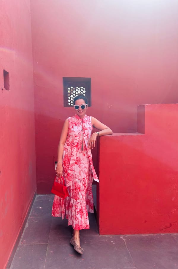 Scarlet Toile — SHOP MIOWW