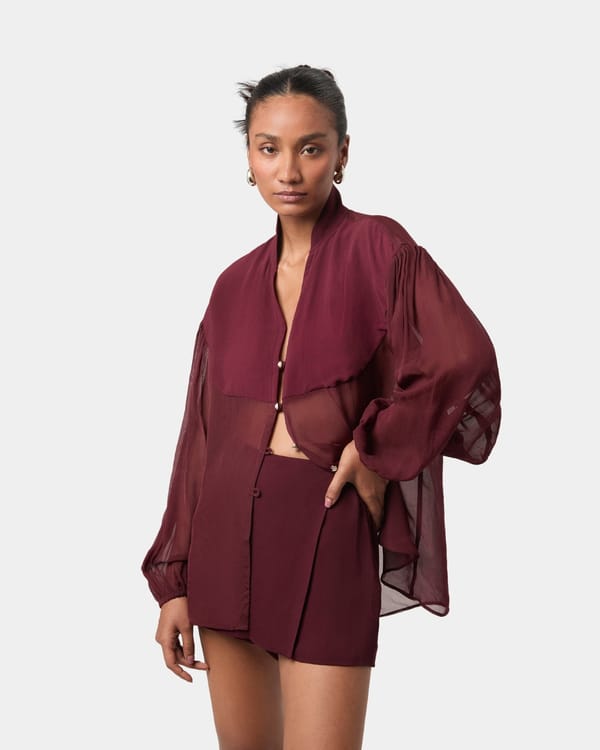 Semi Sheer Organza Shirt — Beyond