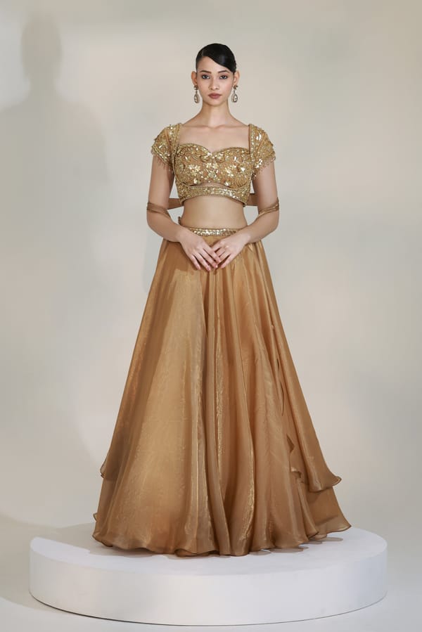 Lustre Lehenga Set — LIBAS CAFE