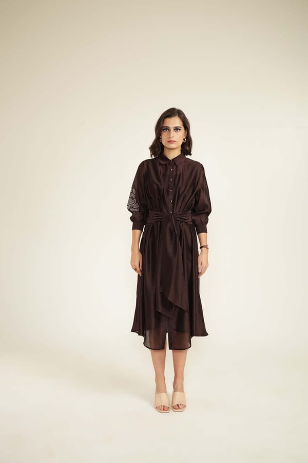 Grape Silk Chanderi Midi Shirt Dress With Hand Embroidery — Arcvsh Pallavi Singh