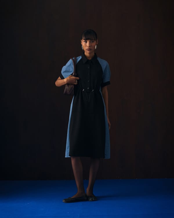 Imanis Dress — Aruni