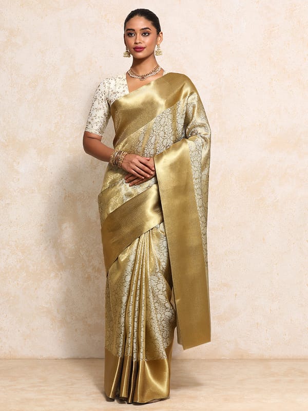 Golden Tissue Saree Ornate Floral Jaal Weave — BINKS