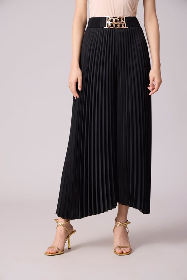 Black Accordion-Pleated Wide-Leg Trousers — Scarlet Sage