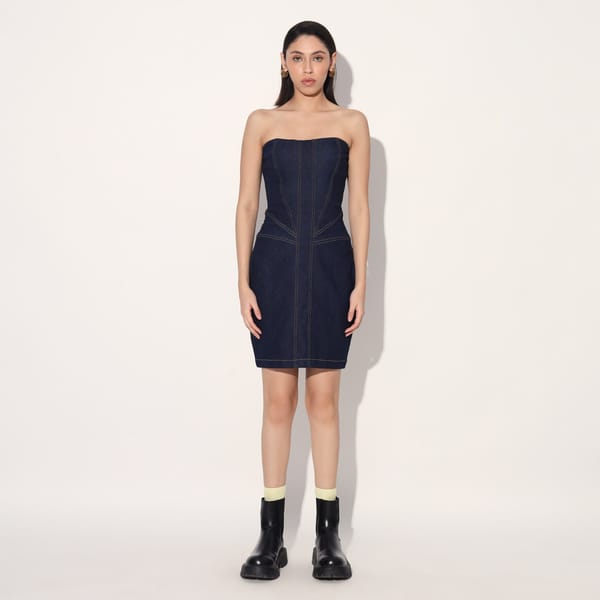 CELESTE DENIM PANEL DRESS — Linetribe
