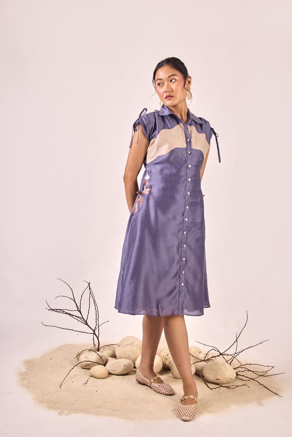 Liviya Dress — An'era by Asmita Verma