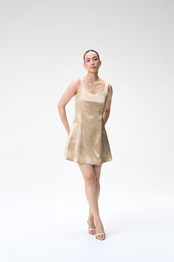 Champagne Mini Dress — Tara & I