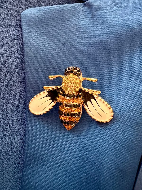 White Honeybee Studded Brooch — Amossh