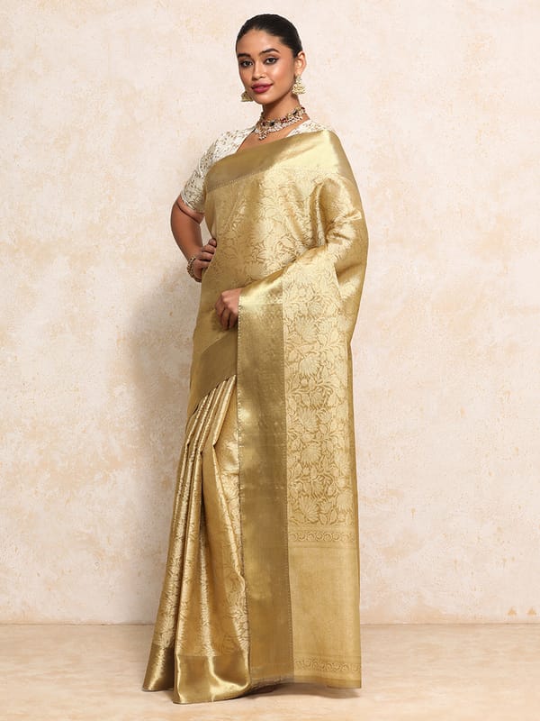 Golden Tissue Saree Floral Jaal Sleek Zari Border — BINKS