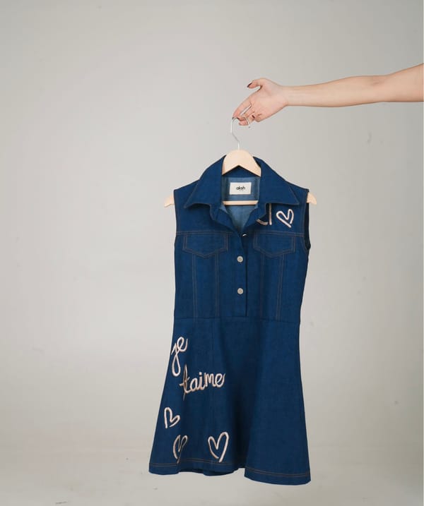 Take me to Paris Embroidered Skater Dress — AKSH
