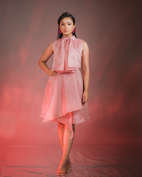 Pink Organza Overlay Bow-Neck A-Line Knee-Length Dress — Darling Girl