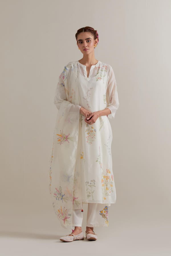 Dupatta Multi — Upavita