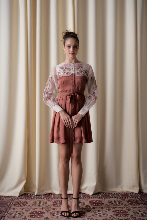 Mocha Fit and Flare Dress with Sheer Embroidered Yoke — Love Kiki