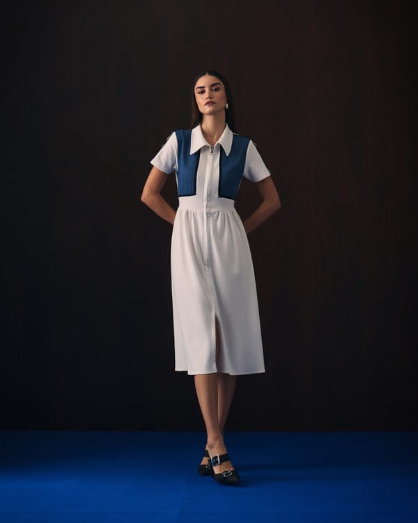 Alia Dress — Aruni