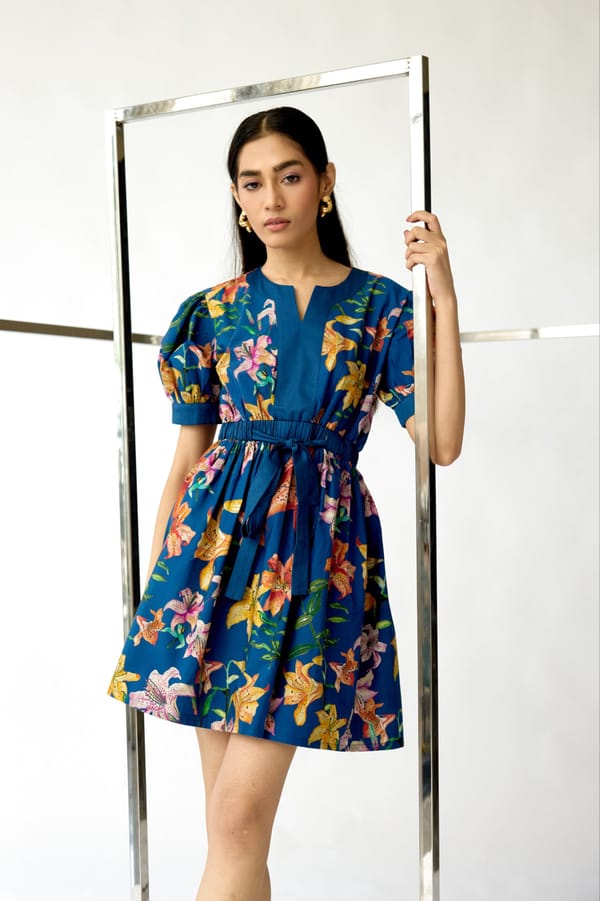 Amara Mini Dress — THE FINICKY COLORIST