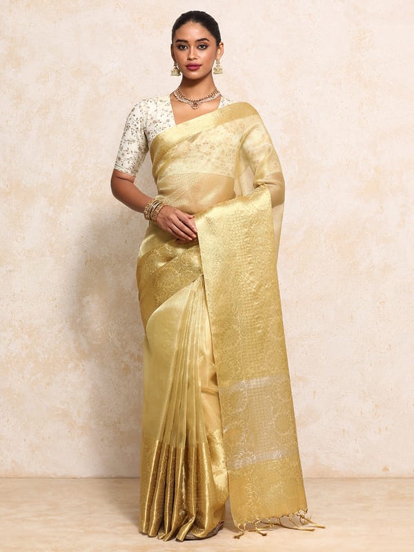 Golden Tissue Saree Woven Dahlia Motif Border — BINKS