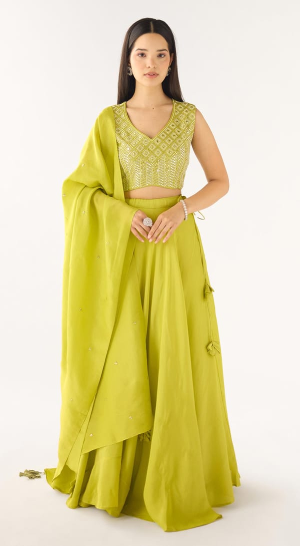 Lime Tissue Embroidered Lehenga Set with V-Neck Blouse — Basanti Kapde aur Koffee