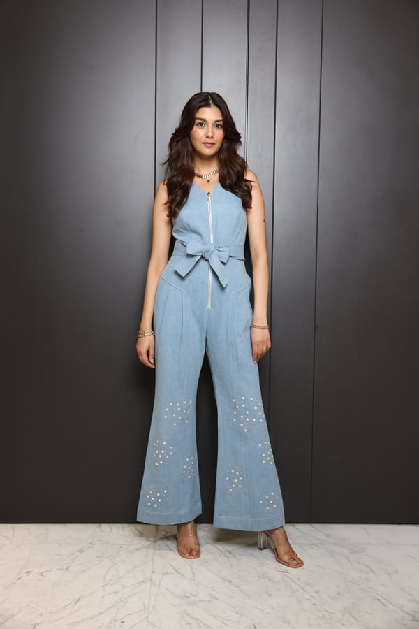 Embroidered Denim Jumpsuit — NASSH