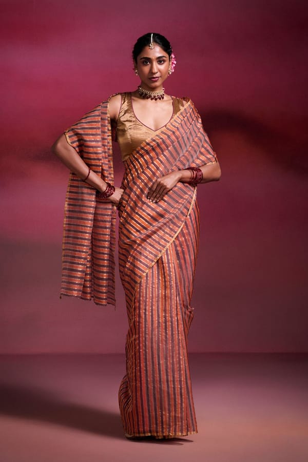 Chanderi Handwoven Saree with Embellished Pallu — Dressfolk