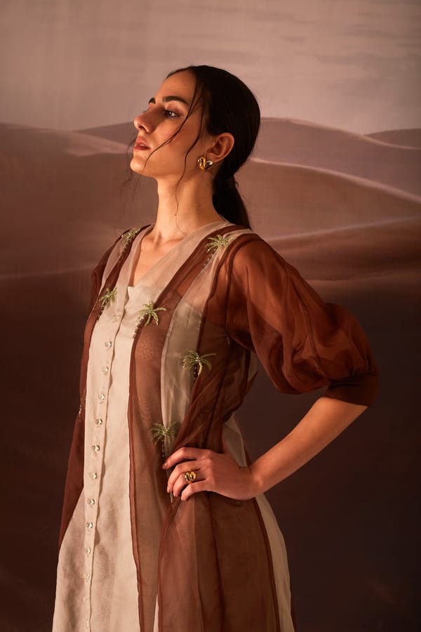 Brown Colorblock Midi Dress with Palm Embroidery and Slip — An'era by Asmita Verma