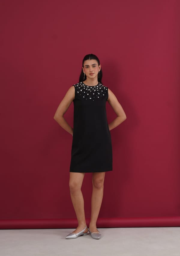 Heiress Mini Dress — AMOSHI